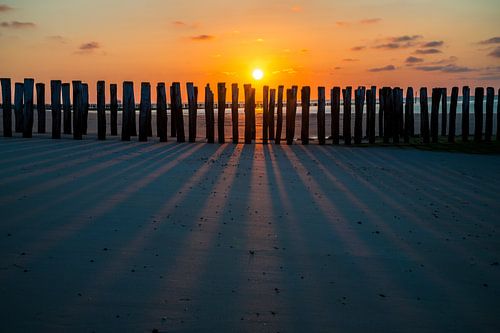Beach posts Breskens