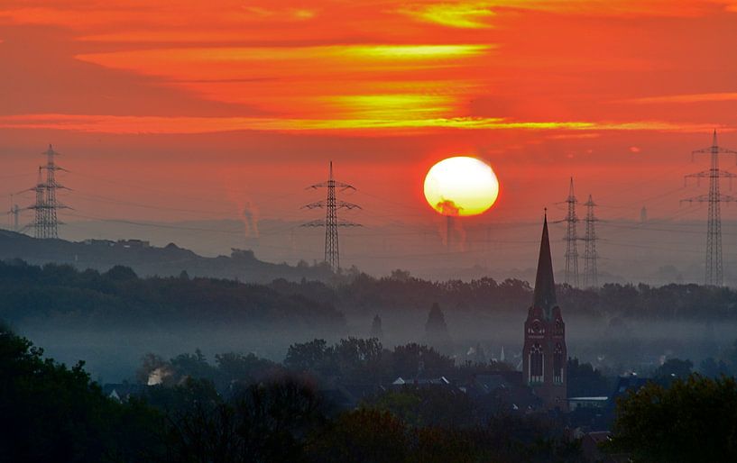 Erle Morgens van Edgar Schermaul