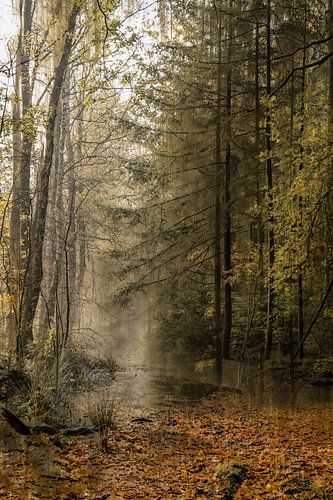 Kwintelooijen part 32