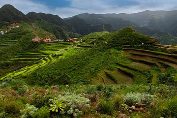 Berglandschap bij Chinamada op Tenerife