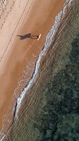 Surfers paradise