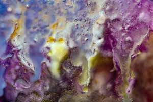 Photo abstraite | Violet, lilas et rose | Fine Art