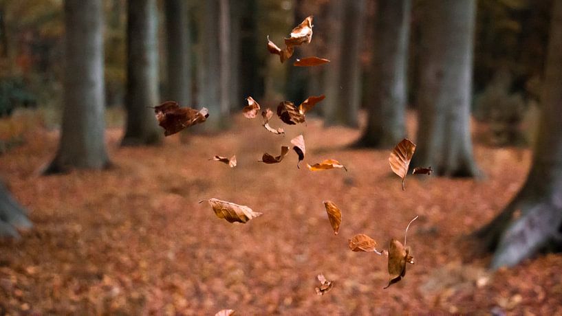 Fallende Herbstballons. von Simon Peeters