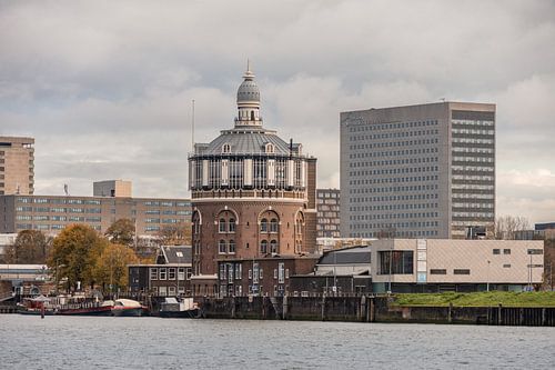 Watertoren de Esch en Erasmus universiteit in Rotterdam.