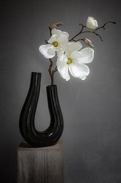 Stilleven kunst Orchidee
