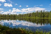 Mehr in Schweden