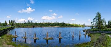 Uitzicht op de Oderteich vijver in het Harz gebergte in Duitsland van Andreas Völkel