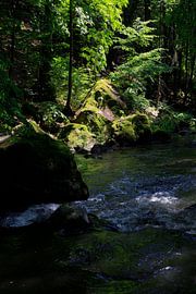 Romance sur Thomas Jäger