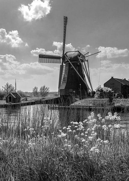 Molen De Biks van Marga Vroom