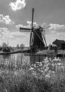 Molen De Biks van Marga Vroom thumbnail