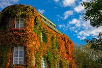 House in autumn