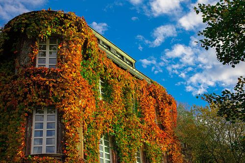 Huis in de herfst