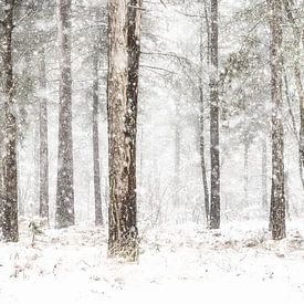 Winter Herperduin. von Ron van der Stappen