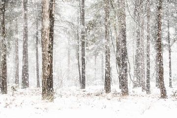 Winter Herperduin. by Ron van der Stappen