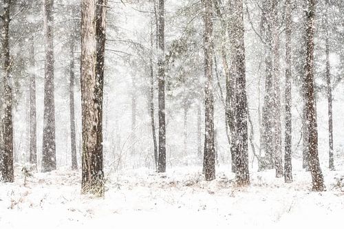 Winter Herperduin. by Ron van der Stappen