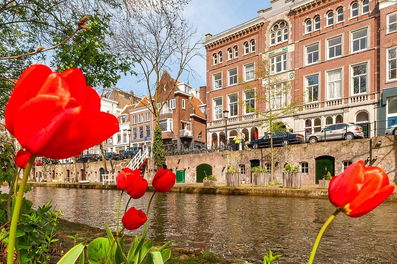 Oudegracht with view of the Dom tower, Utrecht by Martien Janssen