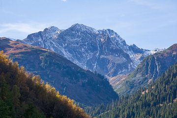 Forest and mountains in the Mutterberg valley by Torsten Krüger