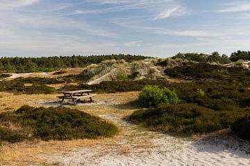 Table de pique-nique dans les dunes de Schoorl sur Bram Lubbers