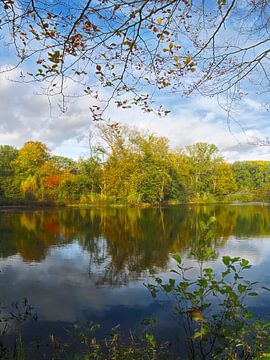 Autumn atmosphere by the lake by Roger Trelou