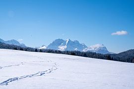 Snow-covered mogul meadows near Mittenwald, embedded in the wintry mountain world of the Alps.