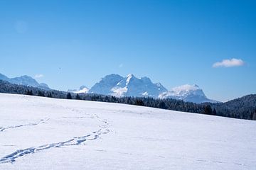 Verschneite Buckelwiesen bei Mittenwald, eingebettet in die winterliche Bergwelt der Alpen.