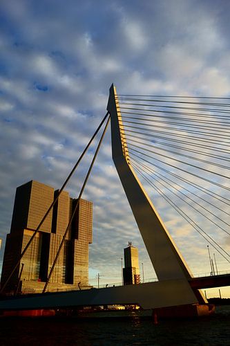 Erasmusbrug Rotterdam