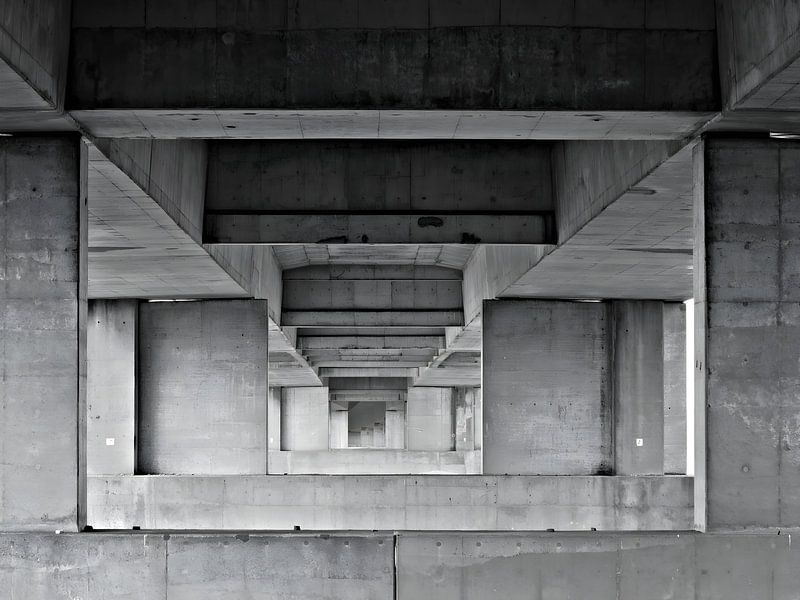 lines by Jessica Berendsen