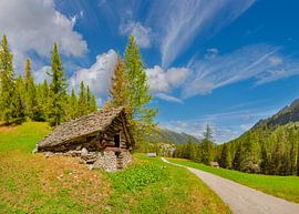 Ein Heustall im Rovana-Tal, Bosco Gurin, Tessin, Schweiz von Rene van der Meer