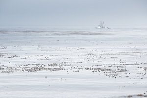 Boot op (de) Stille Oceaan