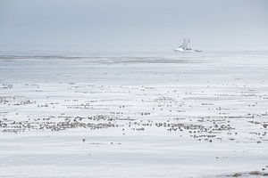 Boat on the Pacific von Bas Wolfs