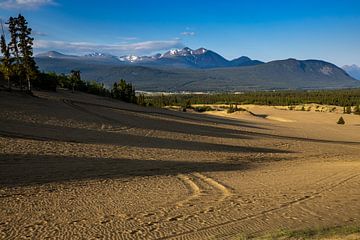 De Carcross-woestijn in Canada van Roland Brack