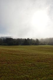 A mist on an autumn morning by Claude Laprise