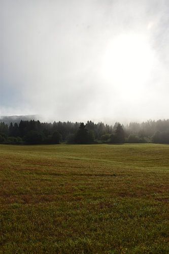 Een mist op een herfstochtend