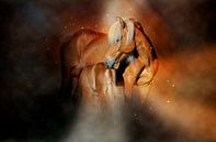 Schöne Pferde von Peter Roder Miniaturansicht