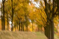 Eventful autumn