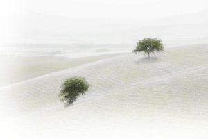 Val D'Orcia