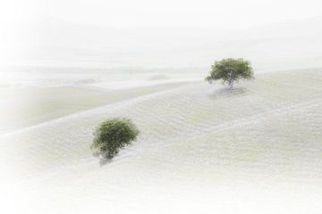 Val D'Orcia