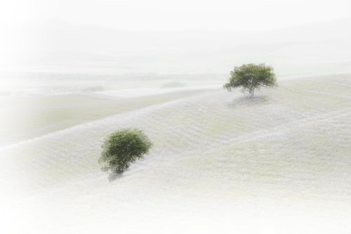 Val D'Orcia