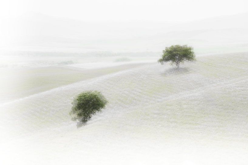 Val D'Orcia van Ingrid Van Damme fotografie