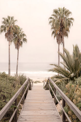 Palmenweg zum Meer von Melanie Viola