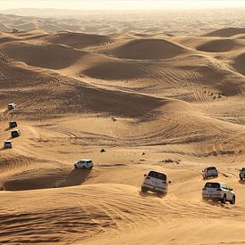 Safari dans le désert de Dubaï sur Christel Smits
