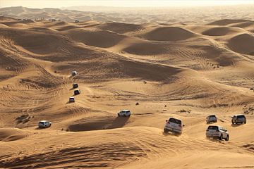 Desert safari Dubai by Christel Smits