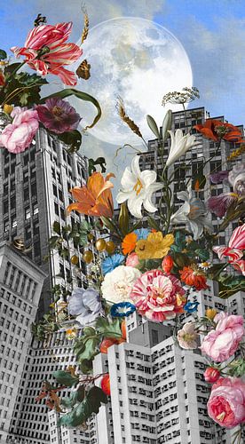 a Big City Still Life
