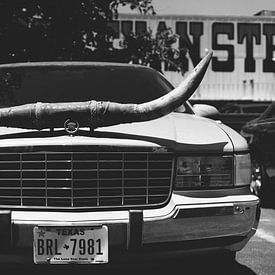 Rit in Texas van Bethany Young Photography