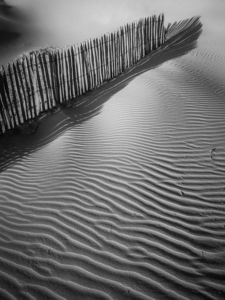 shadow play by Dirk van Egmond