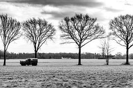 Stilte na de storm van Femke Ketelaar