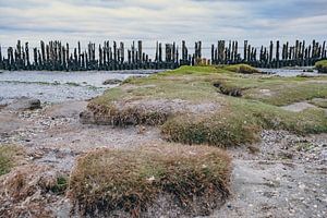 Wattenmeer - 4