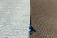 Tractor ploegt de grond voor het planten van gewassen van bovenaf gezien van Sjoerd van der Wal Fotografie thumbnail