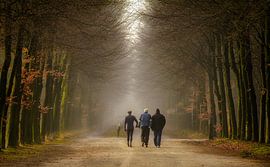 Wandelen met grootvader von Jos Erkamp