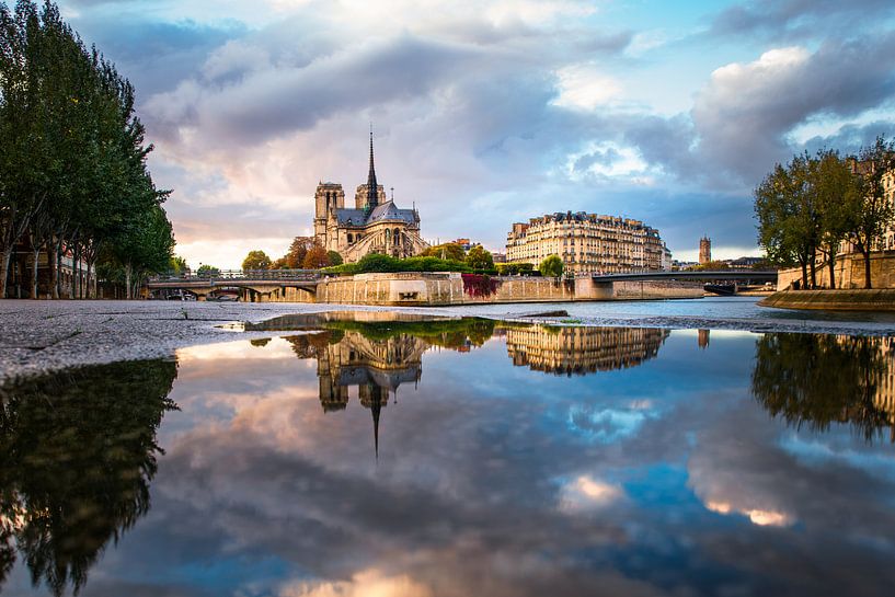 Reflections of the Notre Dame de Paris 2 van Maarten Mensink